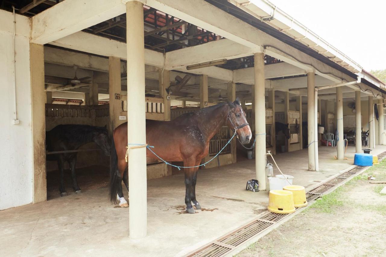 Terengganu Equestrian Resort Kuala Terengganu Exterior foto